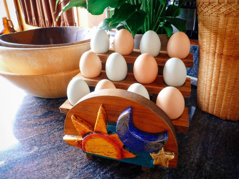 Is Your Egg Storage Method Wrong? Why Backyard Eggs Don t Need Refrigeration