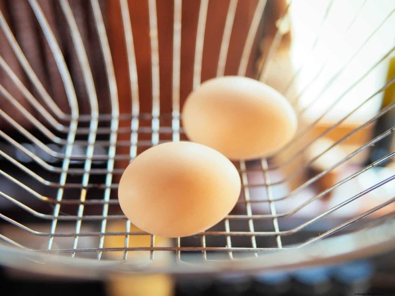 Is Your Egg Storage Method Wrong? Why Backyard Eggs Don t Need Refrigeration