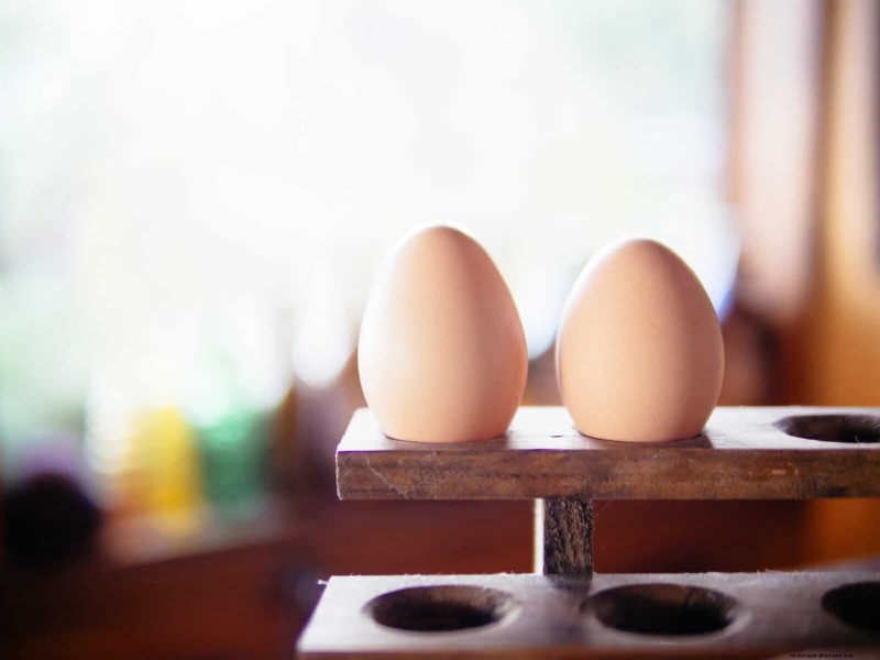 Is Your Egg Storage Method Wrong? Why Backyard Eggs Don t Need Refrigeration