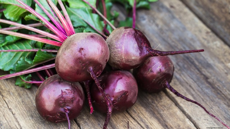 Plant These 9 Root Vegetables in September for a Bountiful Thanksgiving