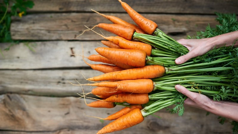 Plant These 9 Root Vegetables in September for a Bountiful Thanksgiving