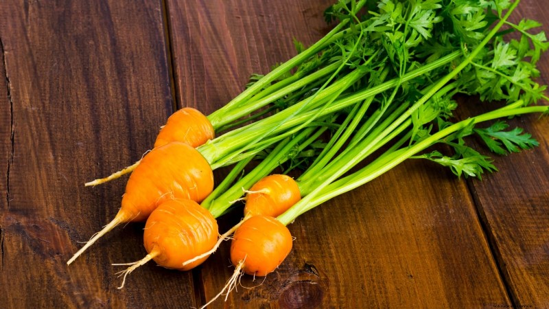 Plant These 9 Root Vegetables in September for a Bountiful Thanksgiving