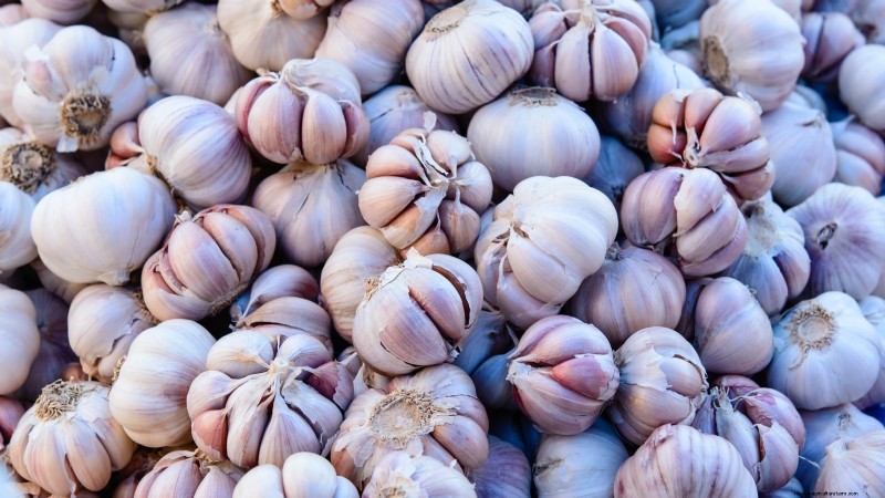 Beginner’s Guide to Garlic Growing: Timing, Varieties & Soil Prep