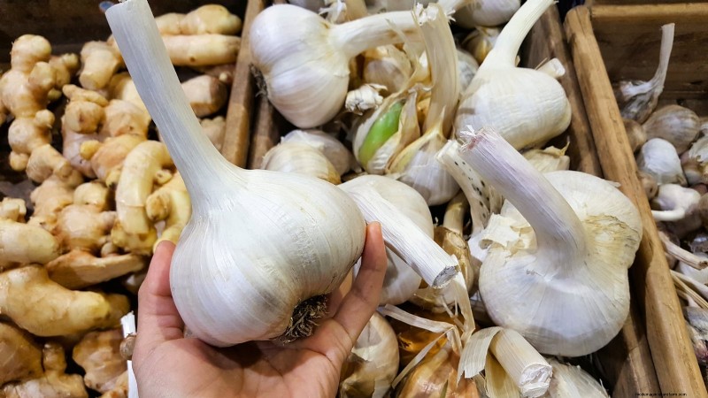 Beginner’s Guide to Garlic Growing: Timing, Varieties & Soil Prep