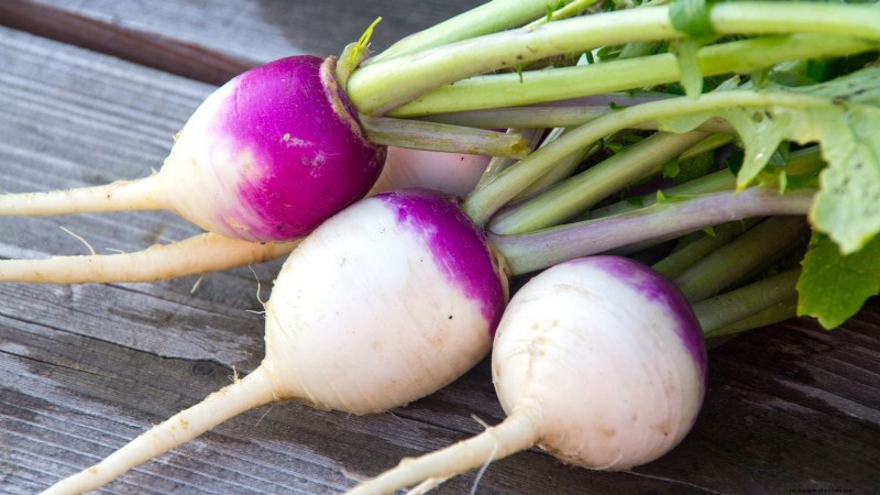 Turnip Varieties for Late‑Summer & Fall Gardening: 11 Must‑Try Edible‑Wonders