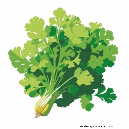 When and How to Pinch Off Herb Blooms for Lush, Flavorful Harvests