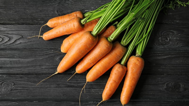 Plant Carrots for a Fall Harvest: Optimal Timing & Expert Tips