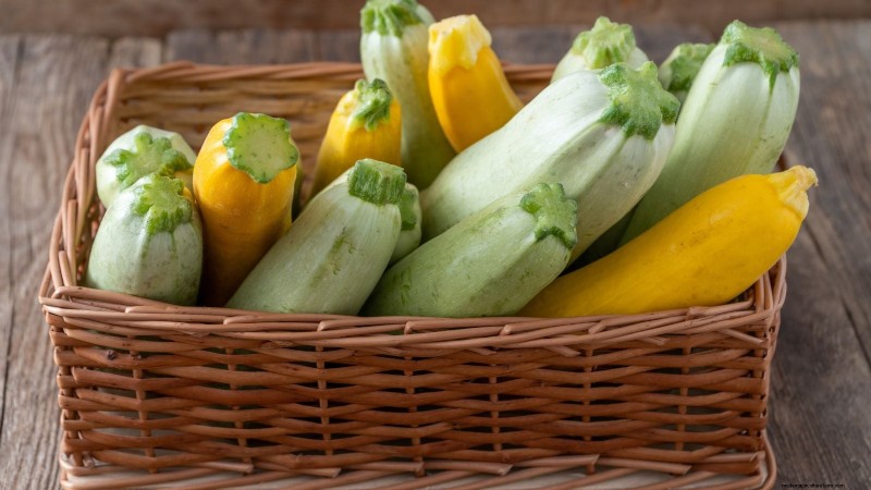 When to Harvest Zucchini: A Guide to Peak Flavor and Texture