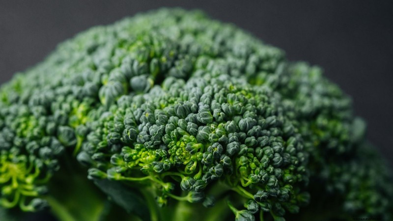 When Is the Perfect Time to Harvest Your Broccoli?