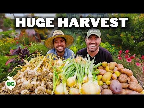 When to Harvest Carrots: 5 Expert-Approved Indicators