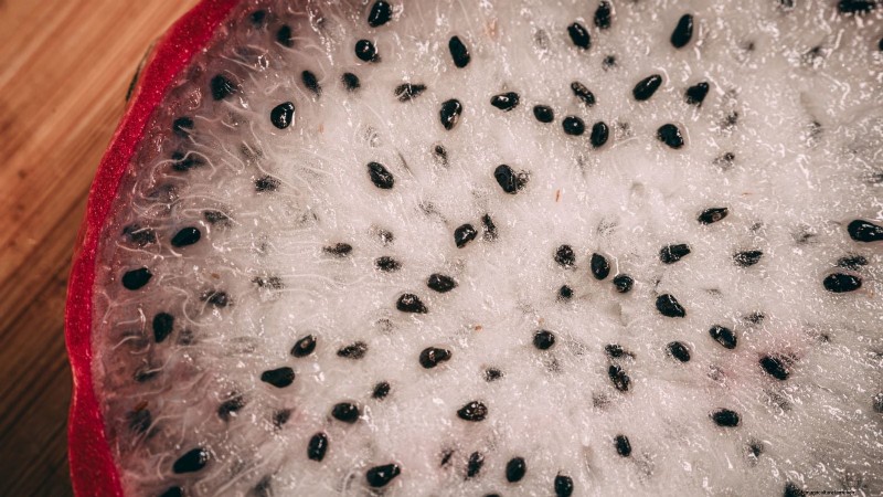 How to Grow Dragon Fruit From Seed: A Beginner‑Friendly Step‑by‑Step Guide