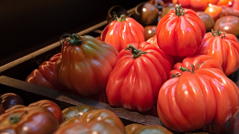 Top 13 Tomato Varieties for Rich, Flavorful Salsa