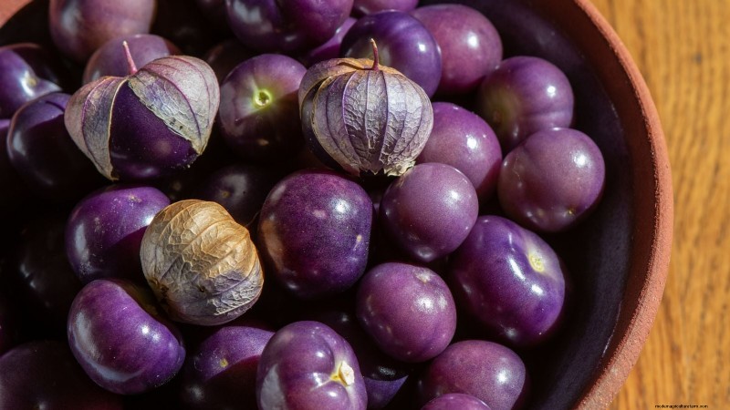 Top 13 Tomato Varieties for Rich, Flavorful Salsa