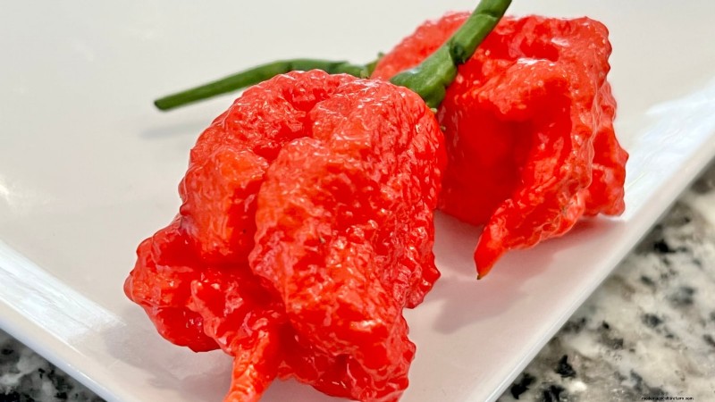 Plant the World’s Hottest Peppers: 9 Scoville‑Record‑Breaking Varieties to Grow This Season