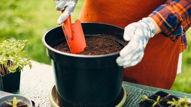 Container‑Friendly Vegetable Pairings: 9 Proven Combinations for Maximized Yield
