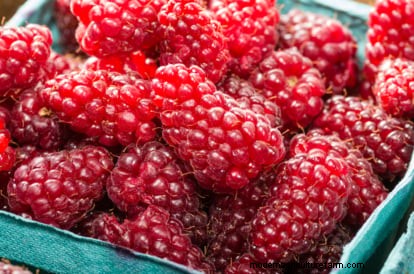 Tayberry Planting Guide: Cultivation, Care, and Harvesting Tips