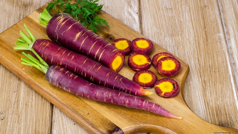 Plant 9 Vibrant Carrot Varieties This Spring – Expert Guide to Colorful Roots