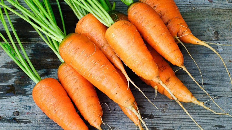 Plant 9 Vibrant Carrot Varieties This Spring – Expert Guide to Colorful Roots