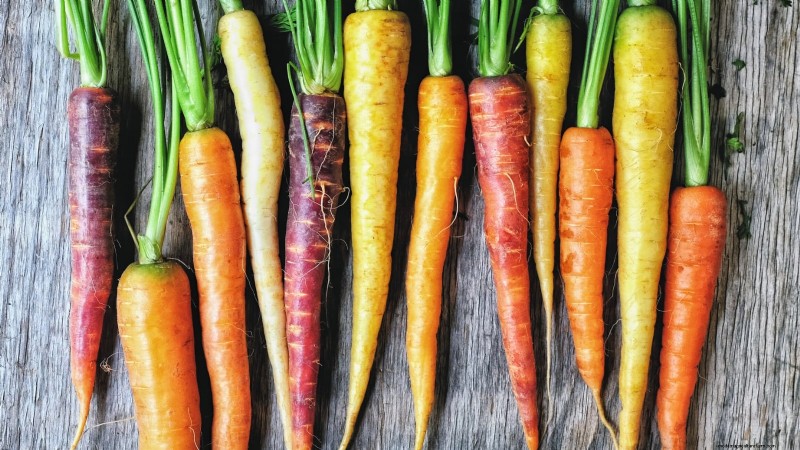 Plant 9 Vibrant Carrot Varieties This Spring – Expert Guide to Colorful Roots