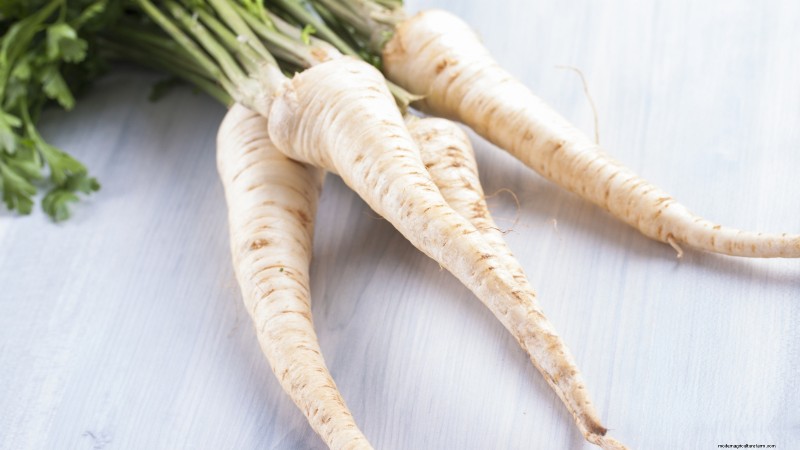 Plant 9 Vibrant Carrot Varieties This Spring – Expert Guide to Colorful Roots