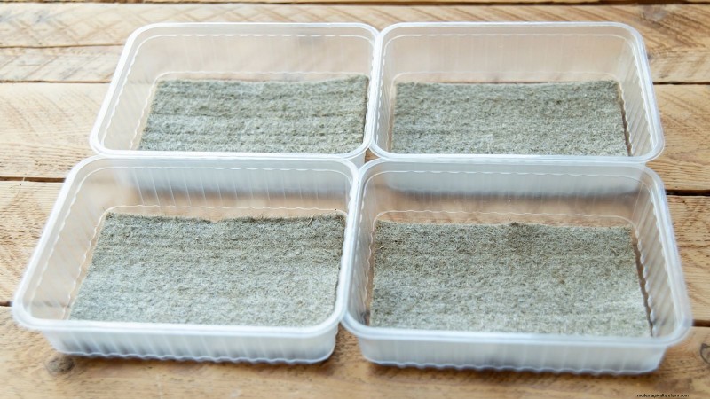 Indoor Watercress Cultivation: 17 Expert Steps for Fresh, Nutritious Greens