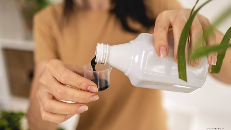 Indoor Watercress Cultivation: 17 Expert Steps for Fresh, Nutritious Greens