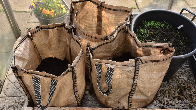 Grow Seed Potatoes Indoors: A Practical Guide to Indoor Potato Cultivation