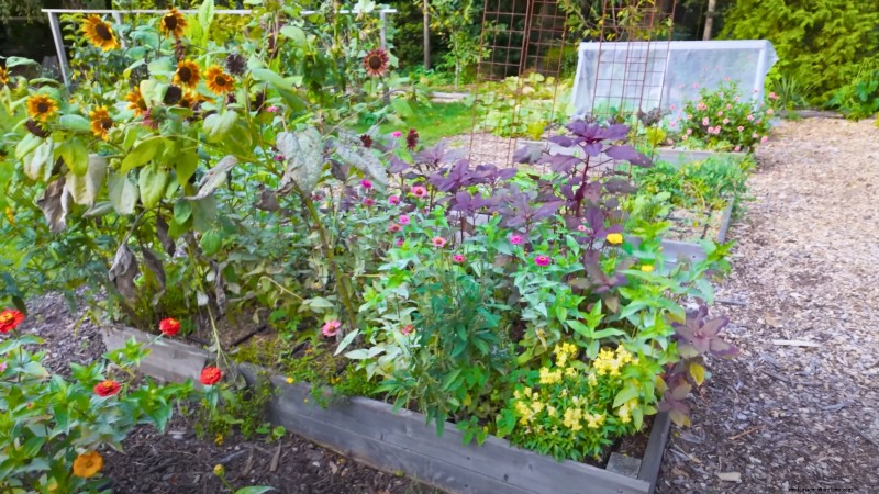 How a New York Gardener Grows Nearly 100% of His Food – Proven Techniques