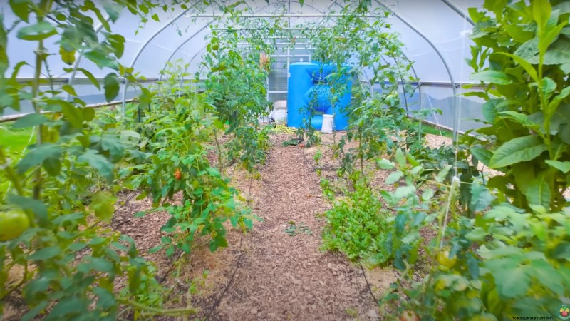 How a New York Gardener Grows Nearly 100% of His Food – Proven Techniques