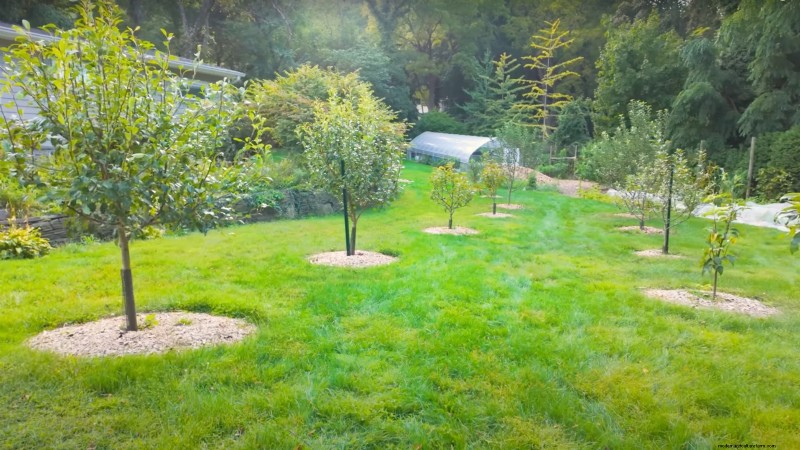 How a New York Gardener Grows Nearly 100% of His Food – Proven Techniques