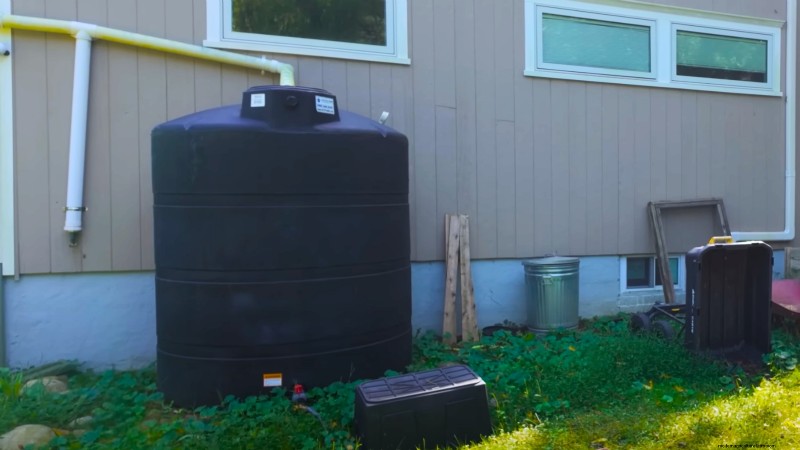 How a New York Gardener Grows Nearly 100% of His Food – Proven Techniques