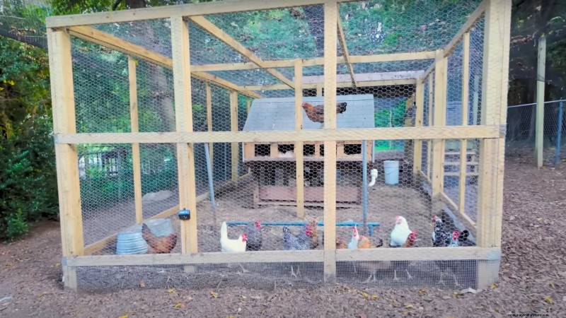 How a New York Gardener Grows Nearly 100% of His Food – Proven Techniques