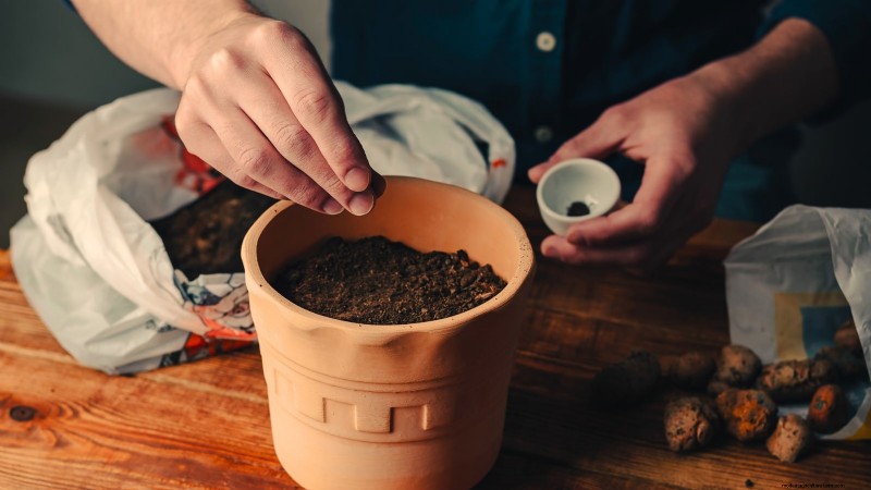 How to Grow Thyme Indoors: 9 Expert Tips