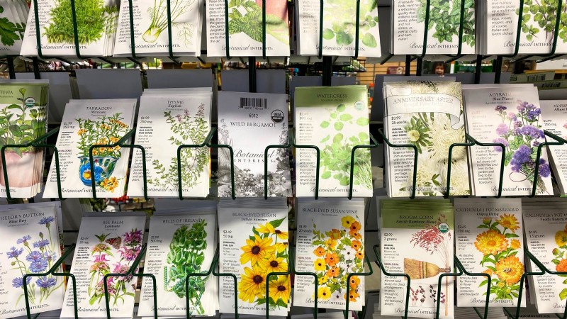Indoor Oregano Cultivation: 9 Expert Tips for Thriving Herb Growth