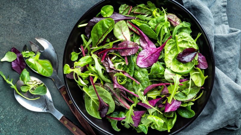 17 Fresh Salad Greens You Can Grow on Your Kitchen Counter