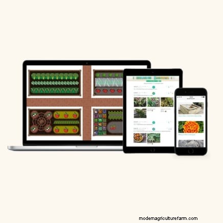11 Proven Vegetable Garden Layouts for a Bountiful Harvest