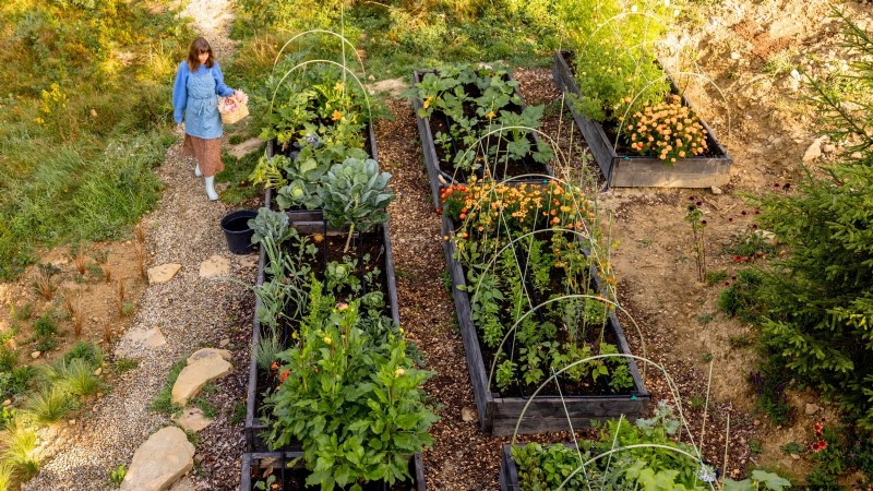 11 Proven Vegetable Garden Layouts for a Bountiful Harvest