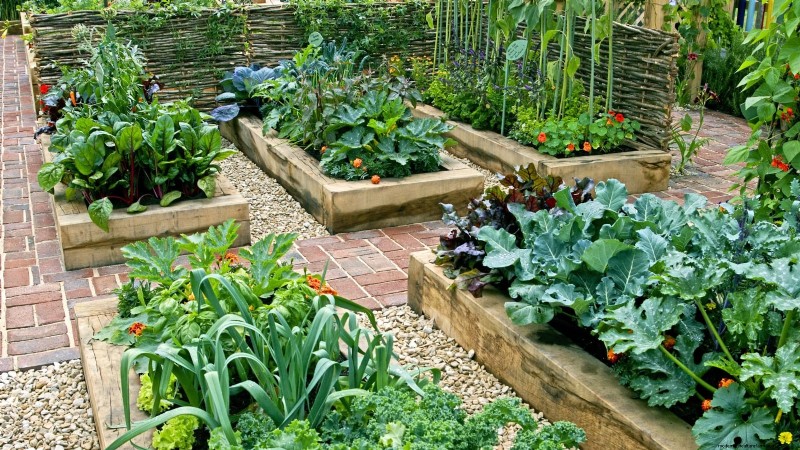 11 Proven Vegetable Garden Layouts for a Bountiful Harvest