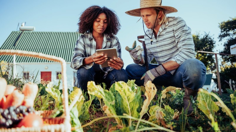 11 Proven Vegetable Garden Layouts for a Bountiful Harvest