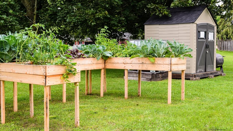 11 Proven Vegetable Garden Layouts for a Bountiful Harvest