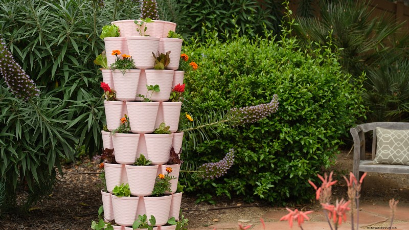 11 Proven Vegetable Garden Layouts for a Bountiful Harvest