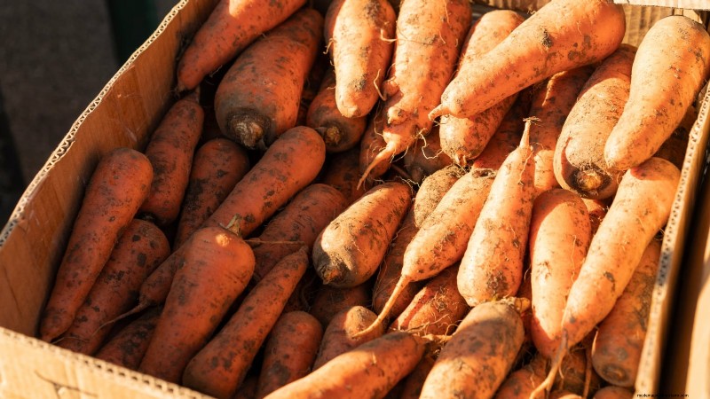 How to Overwinter Carrots: A Step‑by‑Step Guide to Sweet, Winter‑Ready Roots