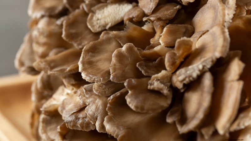 Grow 7 Popular Mushrooms on Your Countertop: A Complete Guide