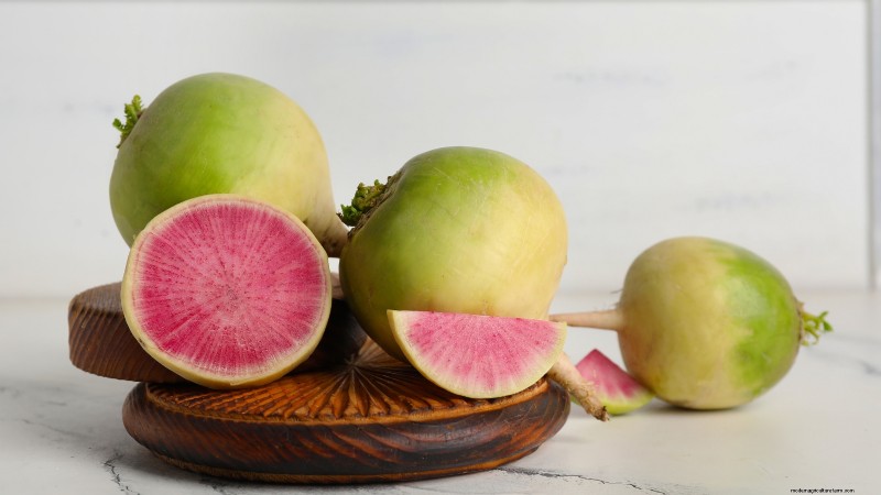 15 Vibrant, Kid‑Friendly Crops to Grow, Harvest, and Enjoy