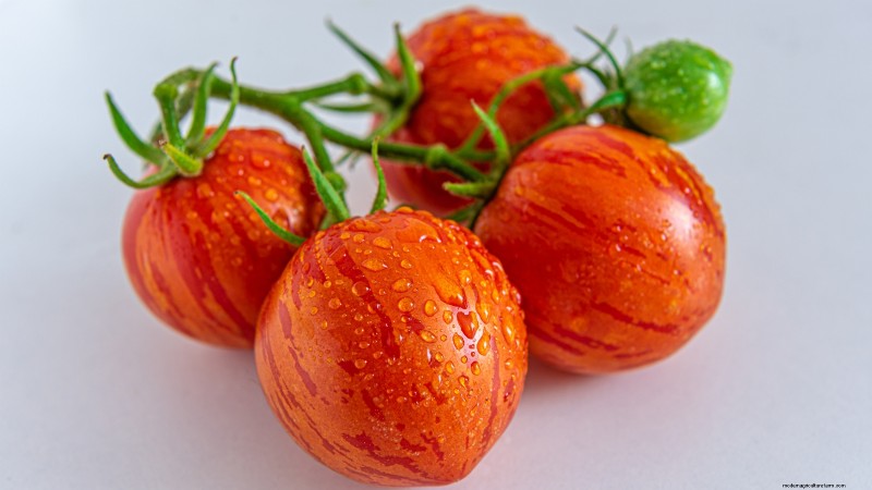 15 Vibrant, Kid‑Friendly Crops to Grow, Harvest, and Enjoy
