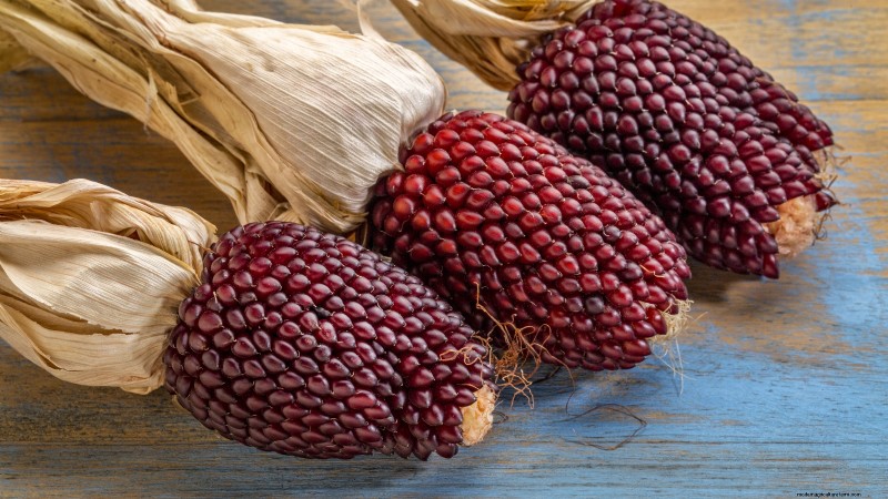 15 Vibrant, Kid‑Friendly Crops to Grow, Harvest, and Enjoy