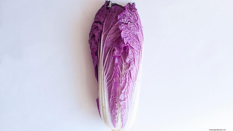 How to Grow and Care for Merlot Chinese Cabbage – A Complete Guide