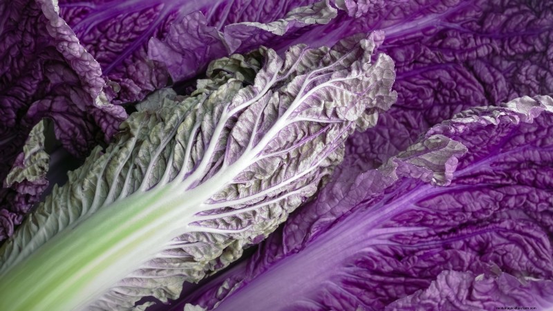 How to Grow and Care for Merlot Chinese Cabbage – A Complete Guide