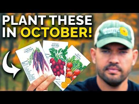 How to Overwinter Parsnips in 5 Simple Steps
