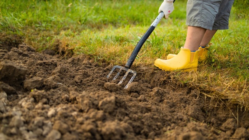 Mastering a Vegetable Garden in USDA Zone 8: Expert Tips & Proven Strategies